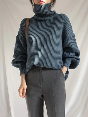 Chunky Turtleneck Knit Sweater